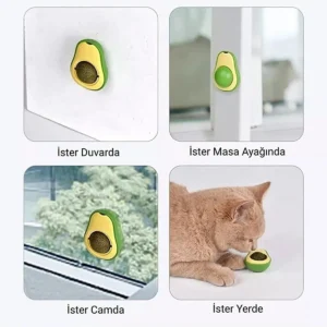 Kedi Nanesi Topu Avokado Şeklinde